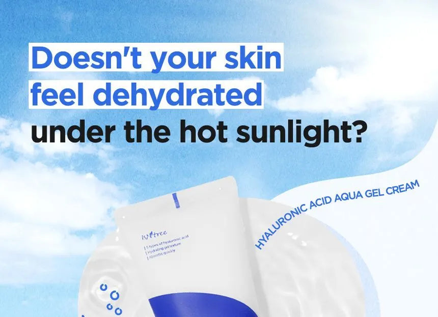 Isntree Hyaluronic Acid Aqua Gel Cream[ 100ml]